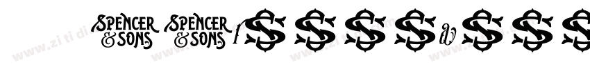 016 SSruiyuanti字体转换